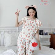 Sỉ đồ bộ lụa mango quần 9 tấc